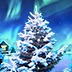 Christmas Megapots